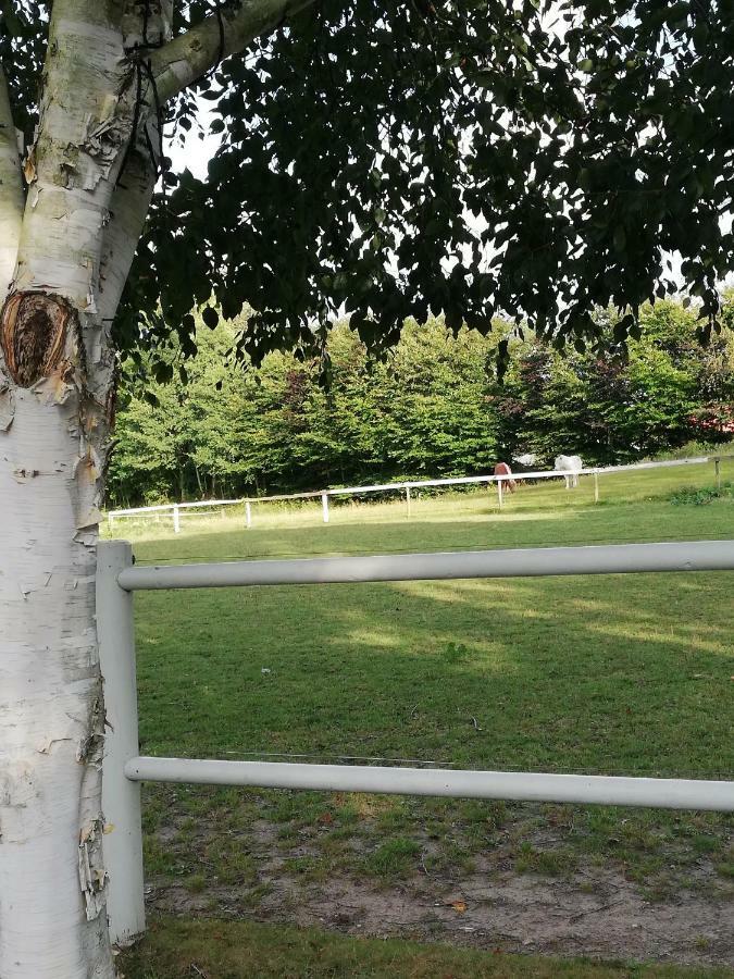Tankefuld Living'S Horsefarm Apartment Свендборг Екстериор снимка